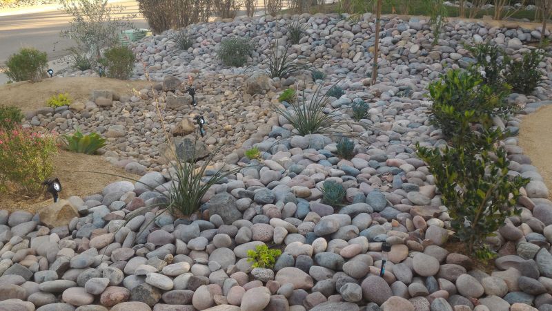 Xeriscaping