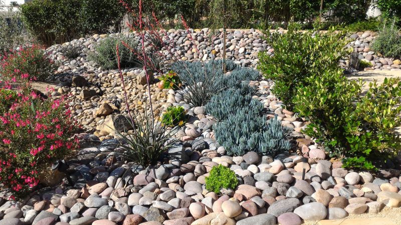 Xeriscaping